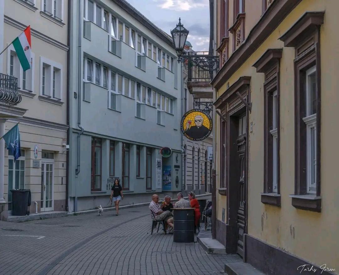 Albina Apartman Eger Bagian luar foto