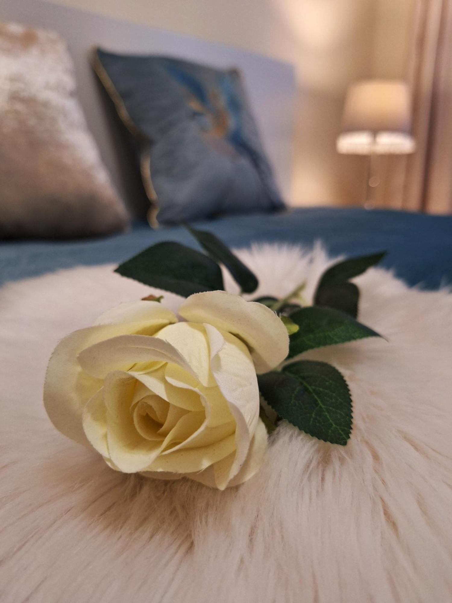 Albina Apartman Eger Bagian luar foto