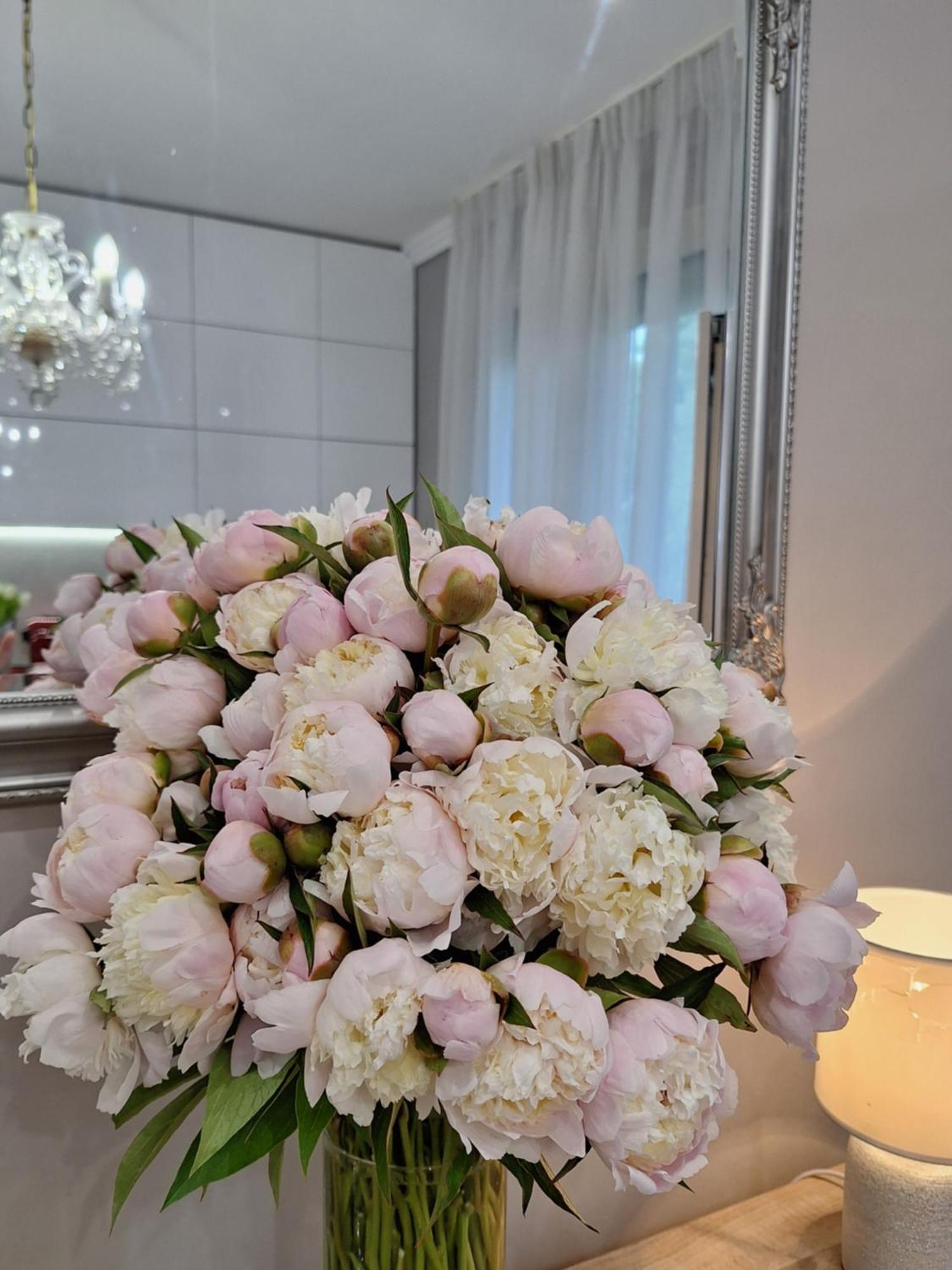 Albina Apartman Eger Bagian luar foto