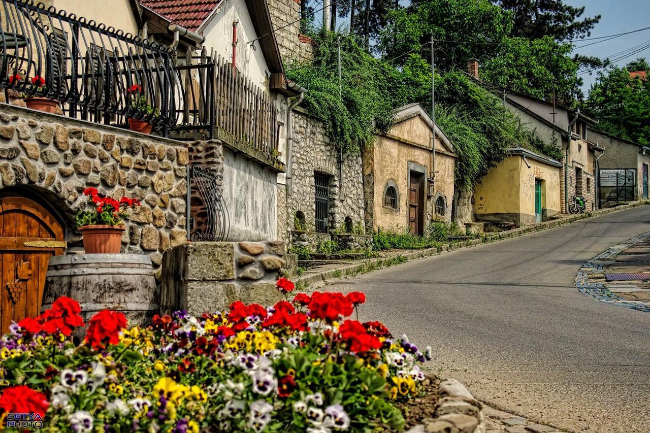 Albina Apartman Eger Bagian luar foto